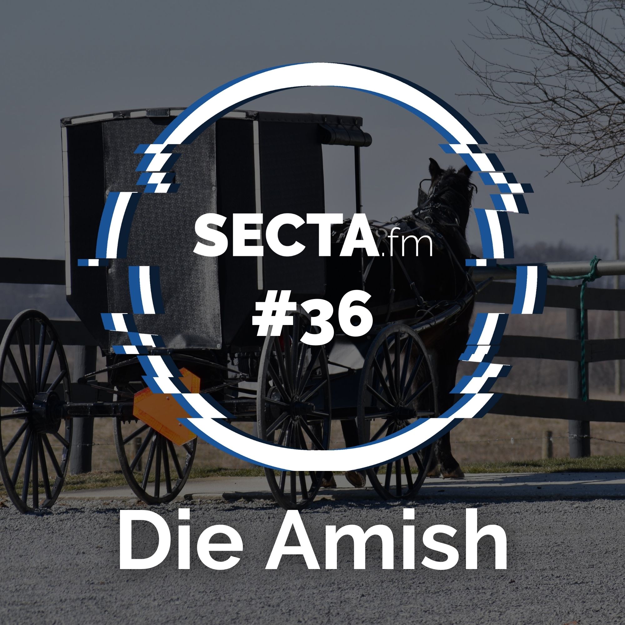 amish cover 36